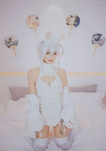 新进女职员