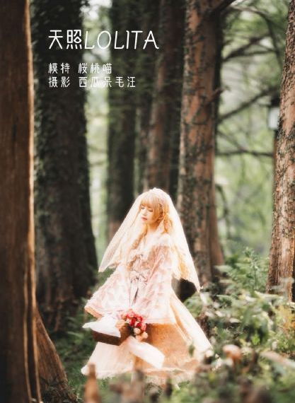 免费电影电视剧在线观看