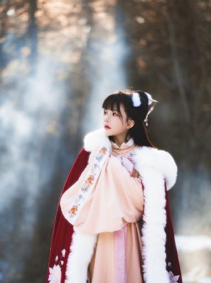 梅花儿香电视剧免费全集