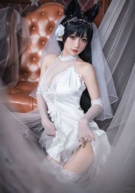 科洛弗档案